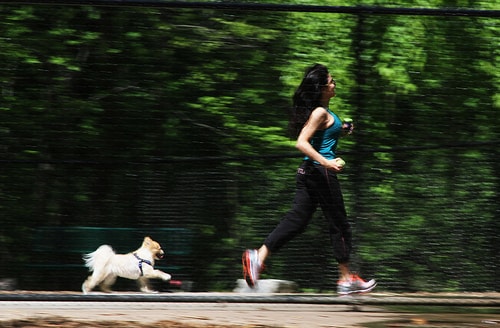 20110514_corrida